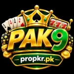 Pak 9 game logo image