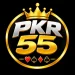 PKR 55 Game logo image