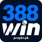 388 dashboard image